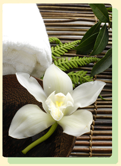 SD Cosmetic Kosmetikstudio Lorsch